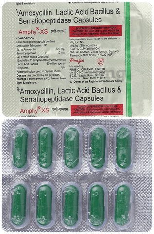 Amphy XS  Capsule
