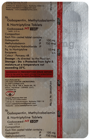 Gabaseed-NT 100 Tablet image