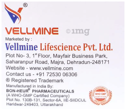 Ranivell Syrup Mint image