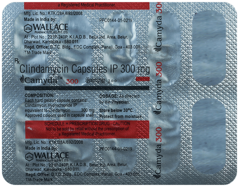 Camyda 300mg Capsule image Camyda 300mg Capsule image