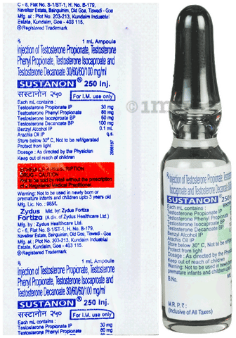 Sustanon 250 Injection image