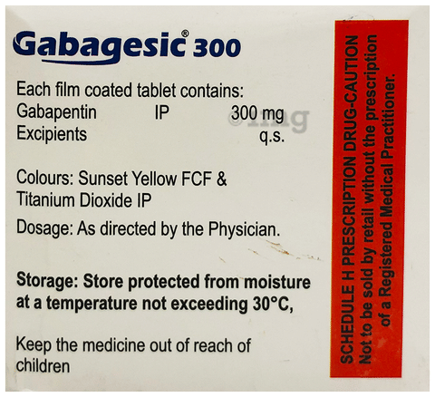 Gabagesic 300mg Tablet image