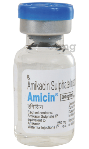 Amicin 500mg Injection image