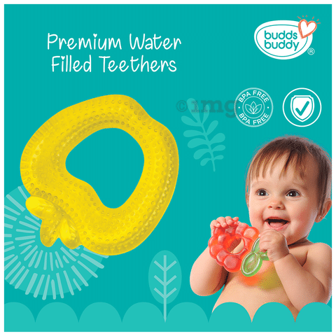 Buddsbuddy teether outlet