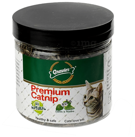Gnawlers Premium Catnip for Cat Buy jar of 31.8 gm Pet Food at