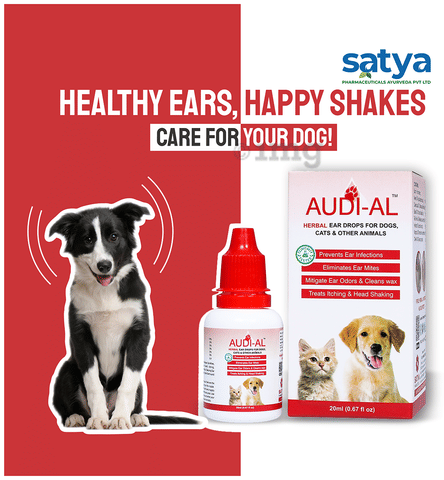 Audi-Al Herbal Ear Drops for Dogs, Cats Other Animals: Buy