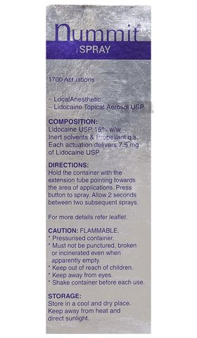 Nummit Spray Fresh Mint image