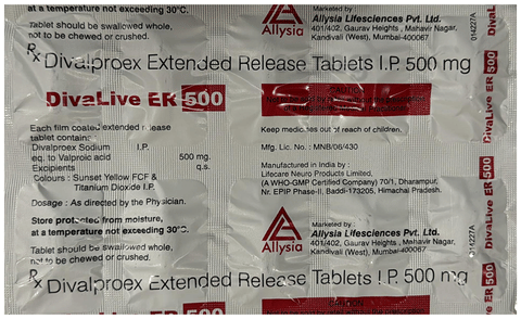 DivaLive ER 500 Tablet image
