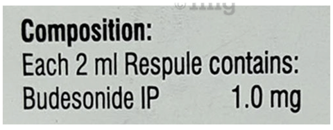 Bunase 1.0 Respules ( 2ml Each ) image
