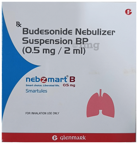 Buy Nebzmart B 0.5mg Smartules (2ml Each) Online: View Uses, Side ...