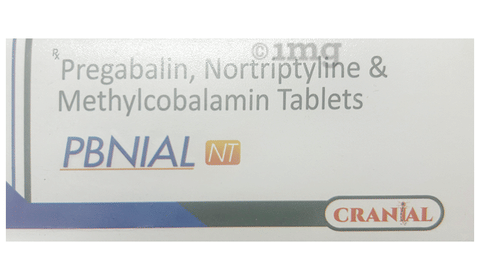 Pbnial NT Tablet image