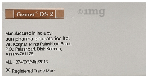 Gemer DS 2 Tablet PR