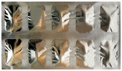 Linalog Tablet image