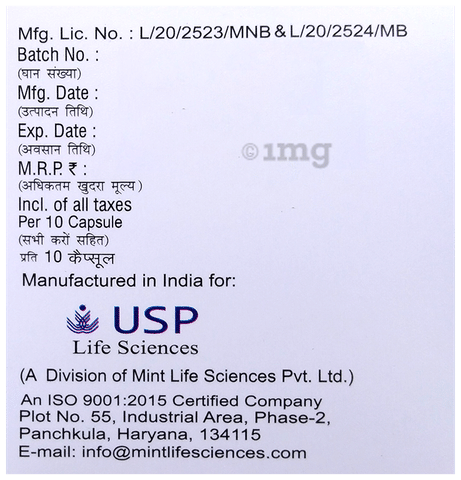 Panmint DSR Capsule image