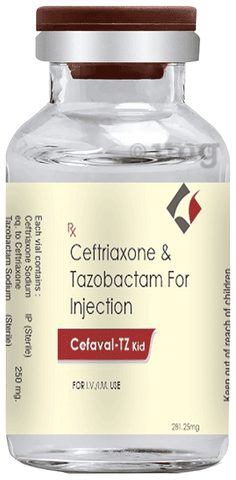 Cefaval-TZ Kid Injection