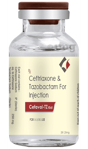 Cefaval-TZ Kid Injection image