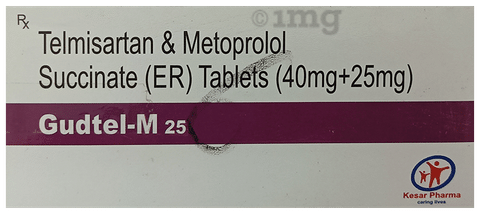 Gudtel-M 25 Tablet ER