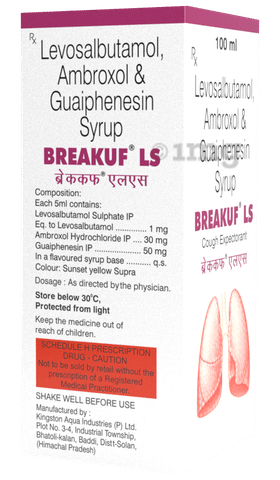 Breakuf LS Syrup image