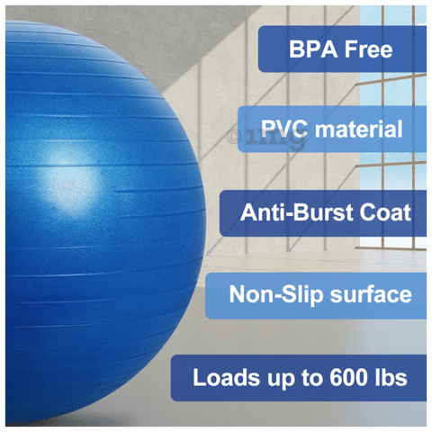 Healthtrek Anti Burst Gym Yoga Exercise Swiss Ball 65cm Blue Buy