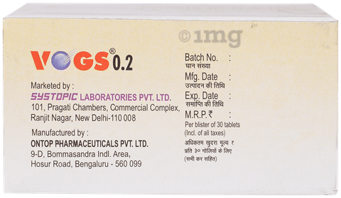 VogS 0.2 Tablet image