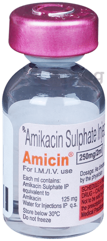 Amicin 250mg Injection image Amicin 250mg Injection image