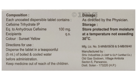 Cefic 100 Tablet DT image