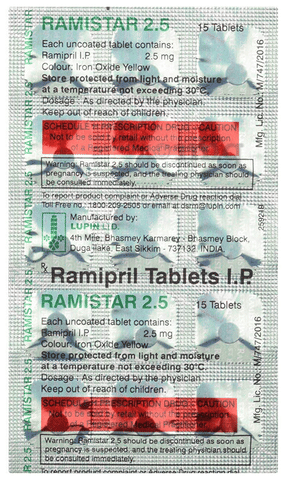 RAMIstar 2.5 Tablet image RAMIstar 2.5 Tablet image