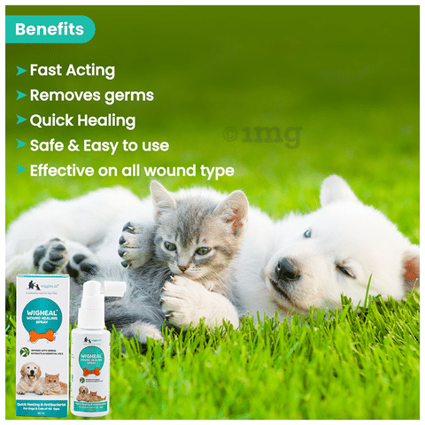 Wiggles Wigheal Organic Wound Healing Spray for Dogs Cats Buy
