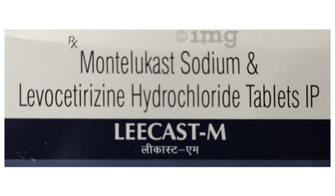 Leecast-M Tablet image Leecast-M Tablet image