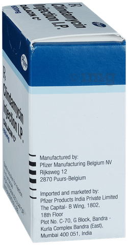 Dalacin C 600mg Injection image