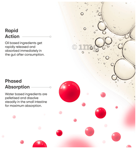 glutathione peroxidase antibody Anti-Glutathione Peroxidase 1 Antibody | Primary Antibodies | Antibodies |  Immunology | Life Science | Carl ROTH