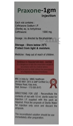 Praxone 1gm Injection image