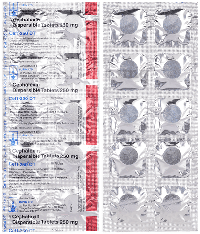 Ceff 250mg Tablet DT 1