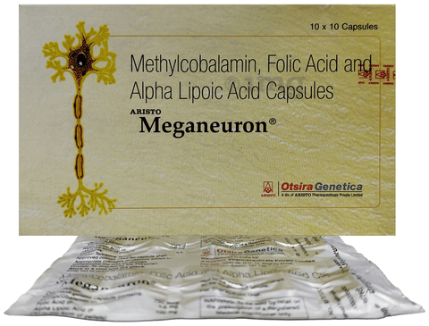 MEGAneuron Capsule image MEGAneuron Capsule image