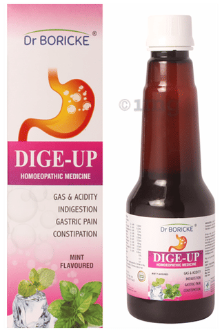 Dr Boricke Dige-Up Syrup Mint image