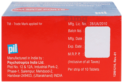 GM SR2 Forte Tablet image