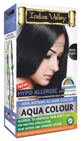 Buy Vegetal Safe Color Hair Color  Burgundy 100 gm Online at Best Price  Hair  Colours