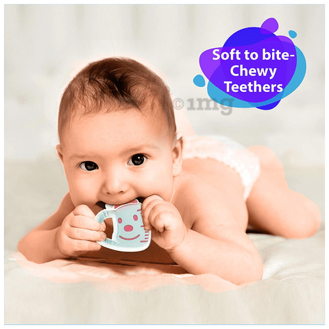 LuvLap Silicone BPA Free Teether for m+ Light Blue: Buy packet