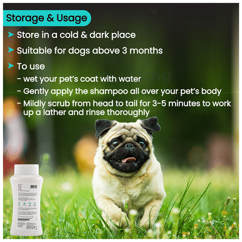 Best tea tree top oil shampoo for dogs