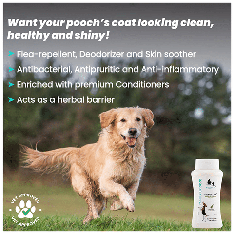 Best tea tree oil shampoo 2025 for dogs