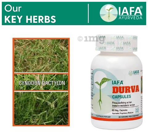 Iafa Durva Veg Capsule image Iafa Durva Veg Capsule image
