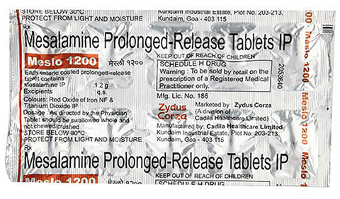 Meslo 1200 Tablet PR image