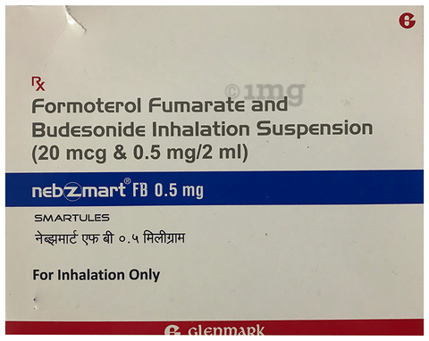 Nebzmart FB 0.5mg Smartules 2ml image Nebzmart FB 0.5mg Smartules 2ml image
