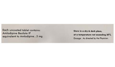 Amlong Tablet image