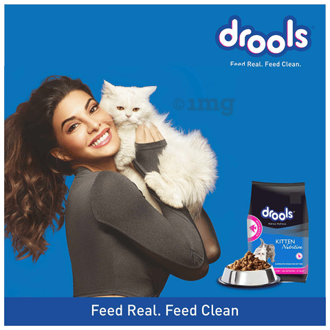 Drools Kitten Nutrition Dry Cat food (1-12 months) Ocean Fish: Buy