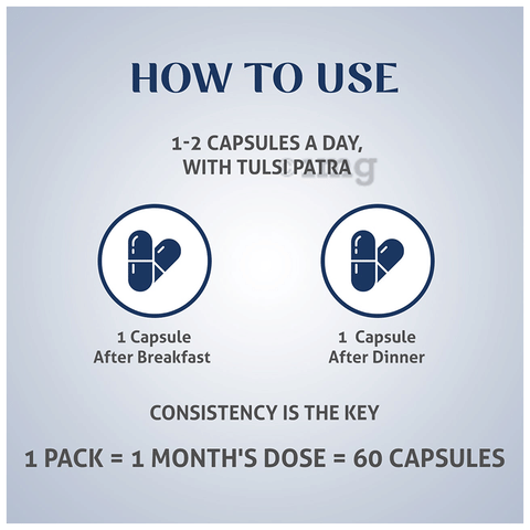 Wellness Mantra KarsiGo Capsule image