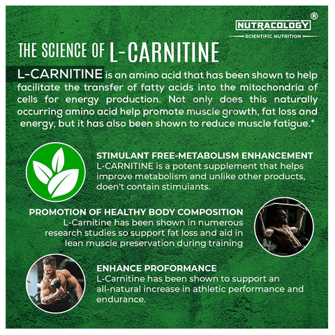can too much l carnitine cause diarrhea The Science of Metabolism and L-Carnitine for Fat Loss – Sova Health main image 1