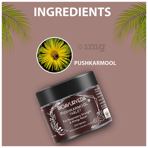 Bioayurveda Pushkarmool Tablet image Bioayurveda Pushkarmool Tablet image