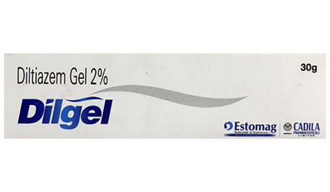 Dilgel