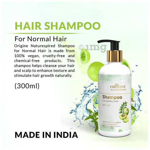 Garnier Ultimate Blends Green Tea Detox Normal Hair Shampoo 360 ml